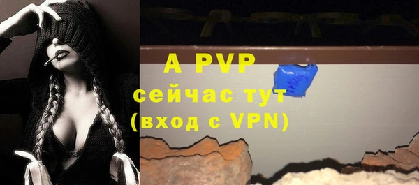apvp Новозыбков