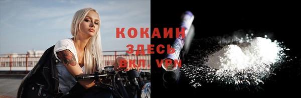 стафф Аркадак