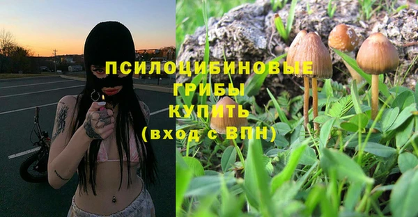 PSILOCYBIN Арсеньев