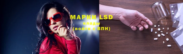 PSILOCYBIN Арсеньев